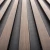 L0303_dąb szary_2.webp