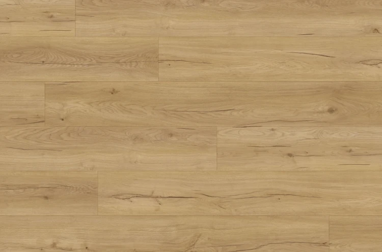 Panele winylowe Premium Floor Forte Dąb Florence 99071