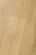 Dąb Universe 99135_MG_2106 (1) — 1.webp