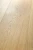 Dąb Universe 99135_MG_2188 (1) — 1.webp