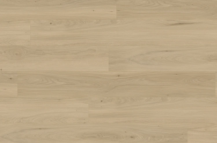 Premium Floor Forte Dąb Japandi 99185