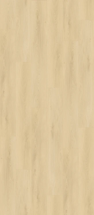 Panele winylowe Premium Floor Omnia 99061 Dąb Virtuoso