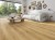 Panele winylowe Premium Floor Omnia 99024 Dąb Artiso