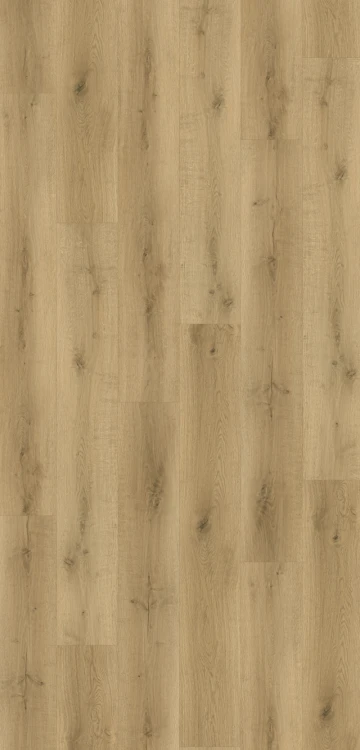 Panele winylowe Premium Floor Omnia 99024 Dąb Artiso