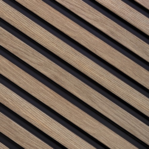 L0203_dąb szary_1.jpg